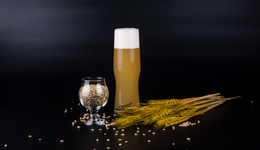 精釀啤酒起步，風(fēng)口來了？