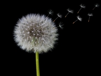 紅杉資本一分為三，創(chuàng)投巨頭“分家”背后有何考量？