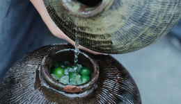 青梅酒潮起第二波？