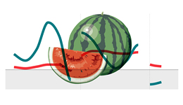 数据 | 6月全国西瓜批发价创13年来新高，原因有这些