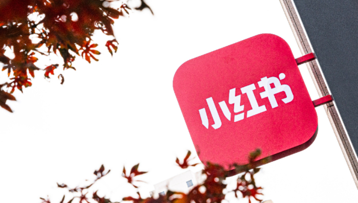 小红书,商业模式,业绩,投资,M,Stand