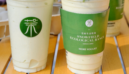 茉酸奶为什么突然火了？