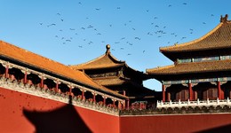 地方新聞精選 | 故宮將禁止商業(yè)性拍攝 石家莊成今年首個40℃省會級城市