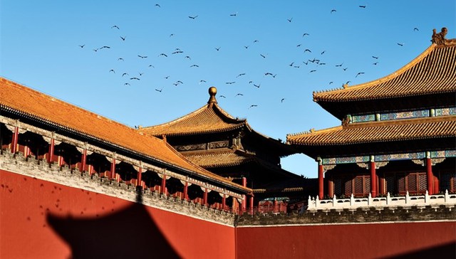 地方新闻精选 | 故宫将禁止商业性拍摄 石家庄成今年首个40℃省会级城市