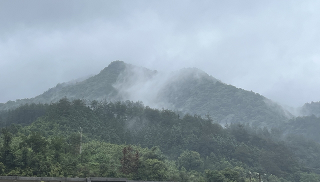 探访福建三明清流县，解锁县域经济发展的多种可能 | 沪明合作观察