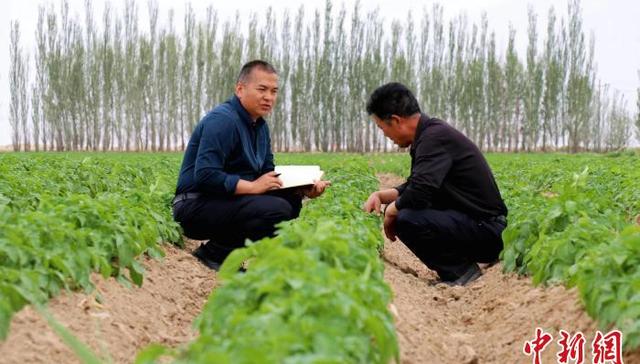 旱作节水,民勤县,节水农业,马铃薯,肥田,农业科研所,棵间蒸发,液体肥,大豆,区域增长极