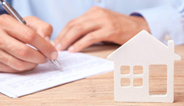 貝殼，何時(shí)迎春歸？