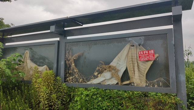 拜腾,特斯拉,蔚来,电动车,汽车