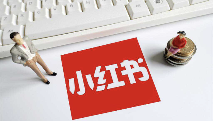 电厂 | 董洁、章小蕙直播卖货，给小红书带来了什么？