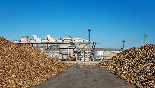 周期,傲农生物,续亏,负债高企,17亿,补血,减持,质押