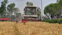 直通部委 | 小麥主產(chǎn)區(qū)大規(guī)模機收基本結(jié)束 教育部：建立高校畢業(yè)生畢業(yè)去向登記制度