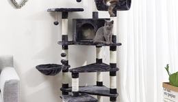 營收高度依賴亞馬遜，河南跨境電商第一股致歐科技上市，首日上漲近7%