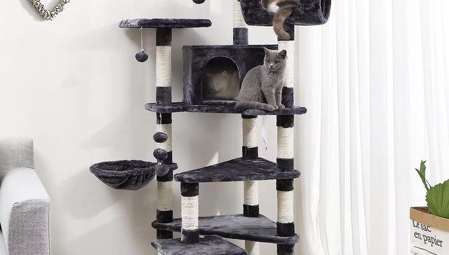 营收高度依赖亚马逊，河南跨境电商第一股致欧科技上市，首日上涨近7%