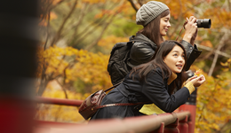 年轻人又爱上了跟团游