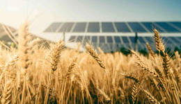 我國(guó)前5個(gè)月光伏裝機(jī)和海關(guān)數(shù)據(jù)，隱藏著一個(gè)驚人真相