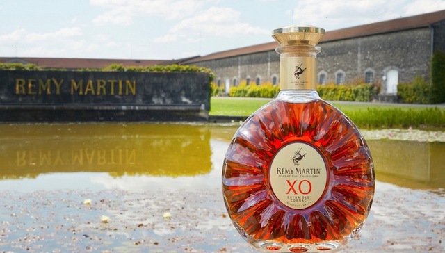 以品牌之力助力电影艺术，人头马开启探寻“久闻不久等”的法国之旅