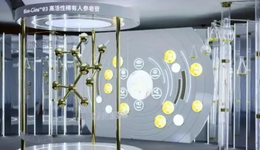 除细胞级抗老，“第四餐”还有哪些新风口 ？