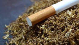 【觀點】中國吸煙人數(shù)緩慢下降，但卷煙產(chǎn)量8年連漲