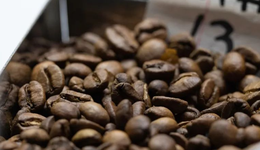 瑞幸上線20元/杯的瑰夏，咖啡下半場，正在進入“品質(zhì)之爭”