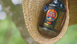 海南椰岛被耽误的7年