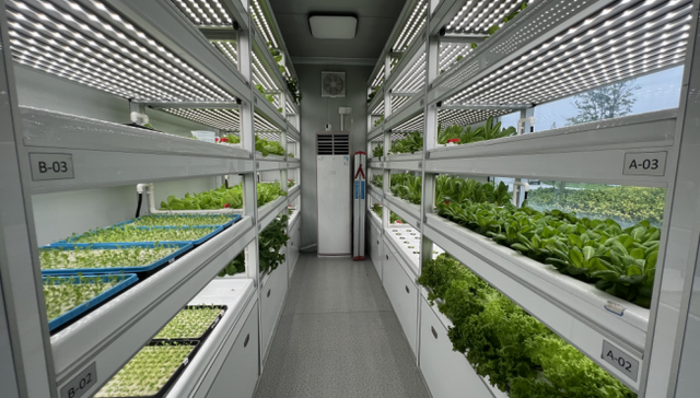 当AI模型算法被用来种生菜