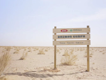 伊利首批加入世界经济论坛“全球植万亿棵树领军者倡议”中国行动