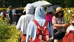 今年高溫日數(shù)已創(chuàng)歷史新高，厄爾尼諾真的來了？