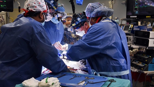 首例猪心移植患者死亡原因揭示，系免疫反应和病毒感染共同作用