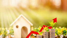 各買1個億！知名游資佛山系出手豪買，兩只“新寵”成色究竟如何？