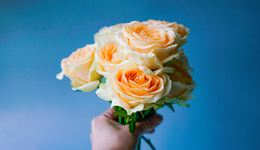 巨头垂涎的鲜花电商，一路打到白菜价