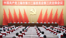 以深化高水平改革開放充分激發(fā)高質(zhì)量發(fā)展動力活力！上海市委全會通過重磅文件