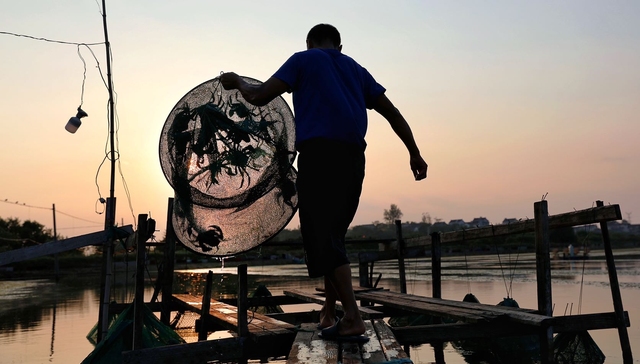 江苏各地大闸蟹商家抢驻“百亿补贴”，布局中秋国庆大促