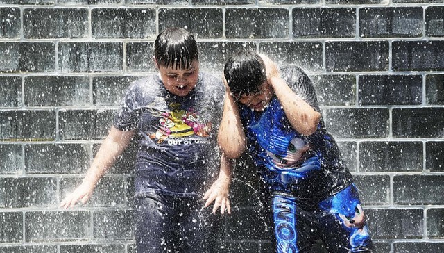 厄尔尼诺,最热,泰国,大米