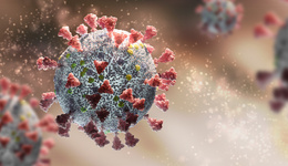 第二波新冠疫情拐點(diǎn)已過，6月感染率持續(xù)下降