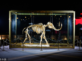 【全球ESG连麦】基因编辑恢复生物种群引发伦理争议：复活猛犸象是一个好主意么？