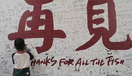 多抓鱼再关店，低买高卖割不动情怀“韭菜”