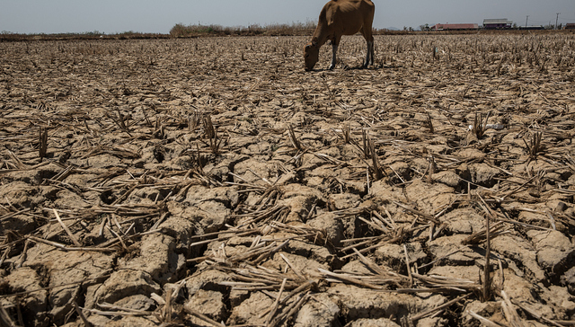 《温室气体自愿减排交易管理办法（试行）》发布征求意见稿； 厄尔尼诺条件宣布形成｜ESG周报