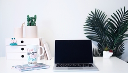 动物、绿植、手办，这届年轻人有多爱在办公桌整活儿