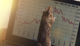 交易1760萬虧損36.5萬，浙商基金原基金經(jīng)理“老鼠倉”被罰