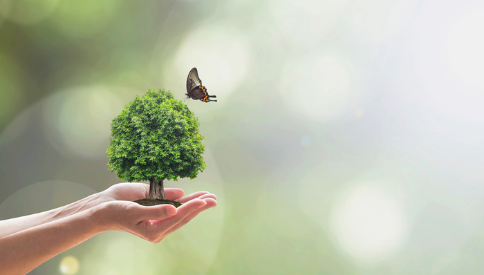 绿色低碳，双碳战略,上海绿色低碳产业联盟,上海,巴斯夫,蔚来汽车,宝钢,上海电气,科思创,上海市节能