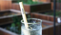 地球熱到炸，“火娃們”該靠什么冰爽一夏？