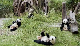 林草局：推動出臺國家公園法，積極推進設立新的國家公園