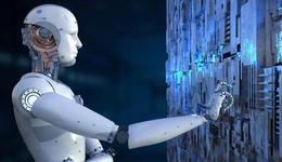 人形機器人哪家強？