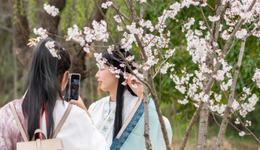 圈层文化落魄记