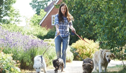 1.1億只寵物，又要撐起一個IPO？