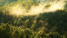 这世界并非只属于人类，它也从未如此｜一周新书推荐