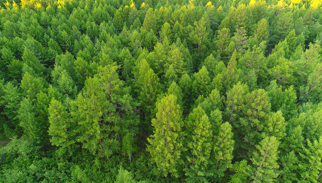 CCER新管理办法更加明确，自愿减排市场有望于年内重启
