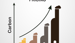 2030年國內(nèi)碳價將較目前翻番