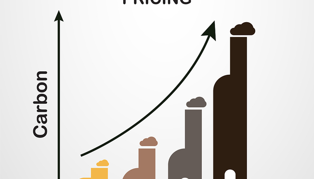 2030年国内碳价将较目前翻番