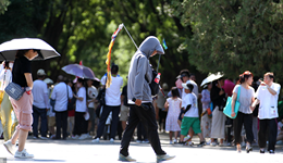 暑期游火热到“一导难求”，但导游日子并不好过